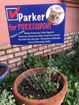 Yard Signs