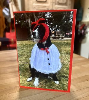 Lulu on our annual Christmas card