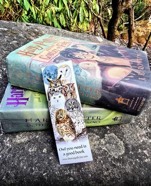 Amazing Quality and Unbeatable Price!